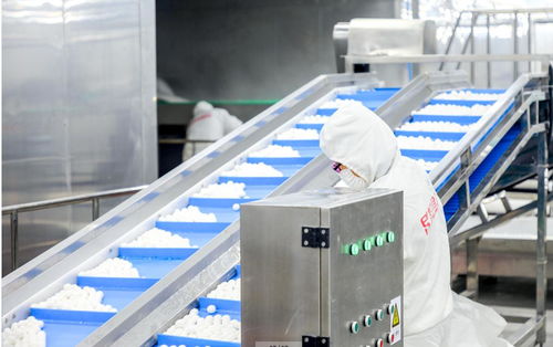 思念食品厂普工招聘 一份稳定与温度并存的职业选择